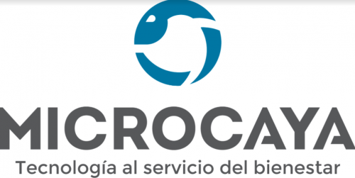 MICROCAYA