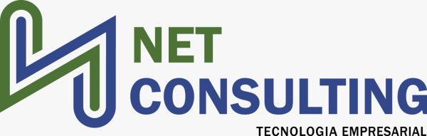 Netconsulting
