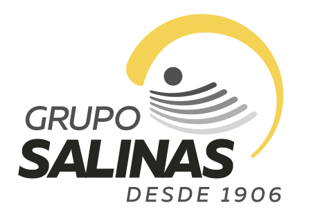 Grupo Salinas
