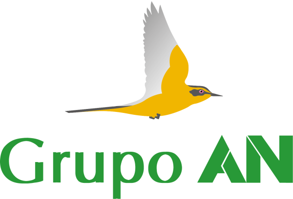 Grupo AN