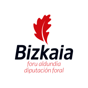 DIPUTACIÓN FORAL DE BIZKAIA