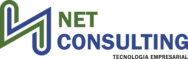 NetConsulting