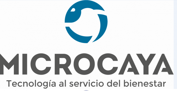 MICROCAYA