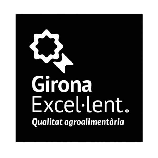 Girona Excel·lent