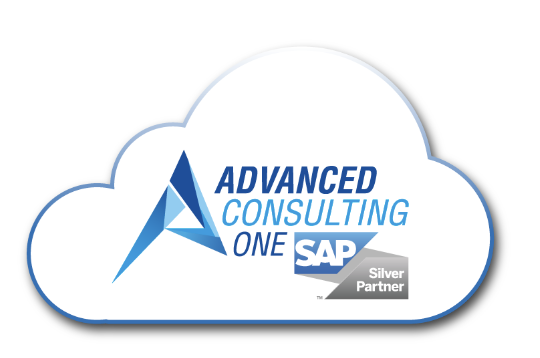 Advanced Consulting One