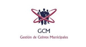 Servicios Tributarios Integrales