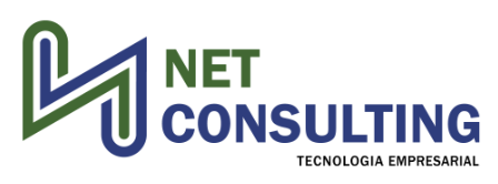 Netconsulting