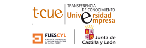 Fundación Universidades y Enseñanzas Superiores de Castilla 