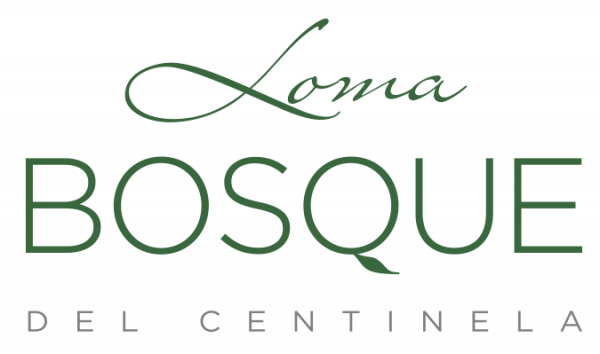 Loma Bosque