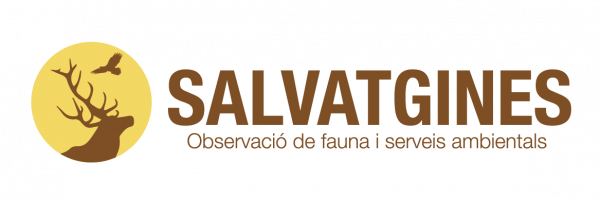 SALVATGINES
