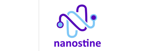 Nanostine